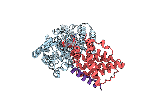 6TZC image