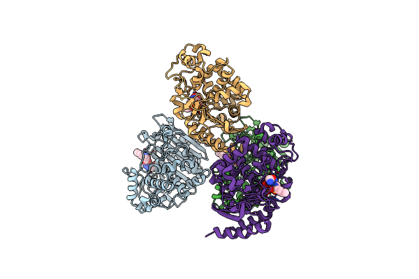 6TZJ image