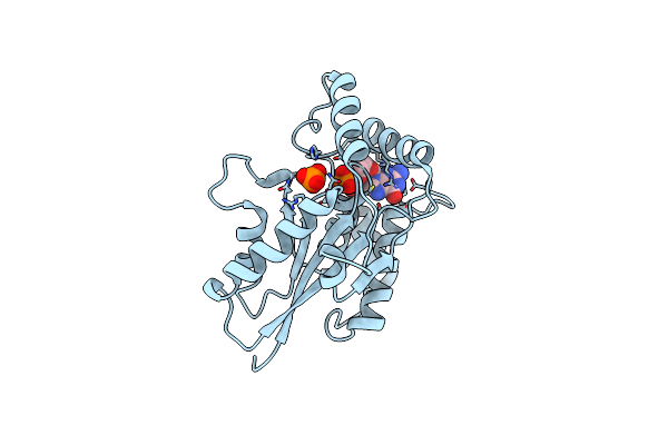 6TZO image