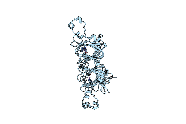 6TZP image
