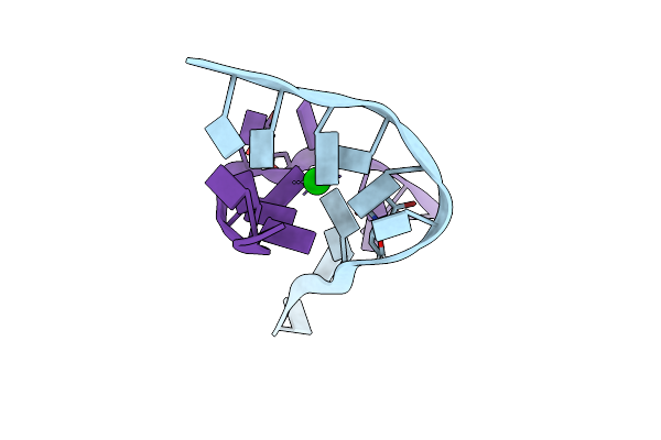 6TZR image