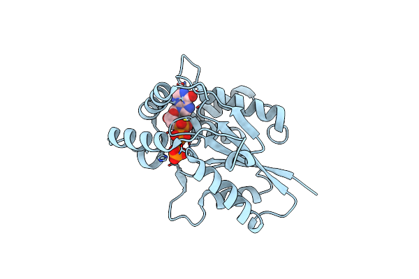 6TZX image