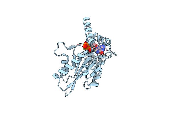 6U03 image