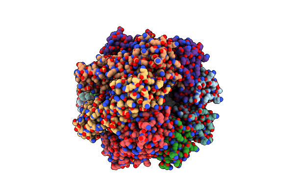 6U4P image