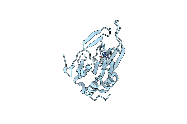 6U4S image