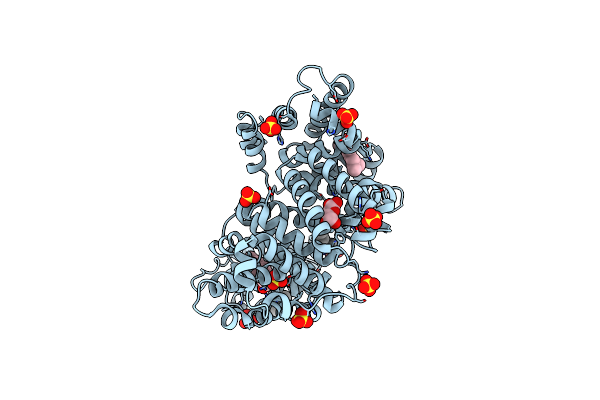 6U4X image