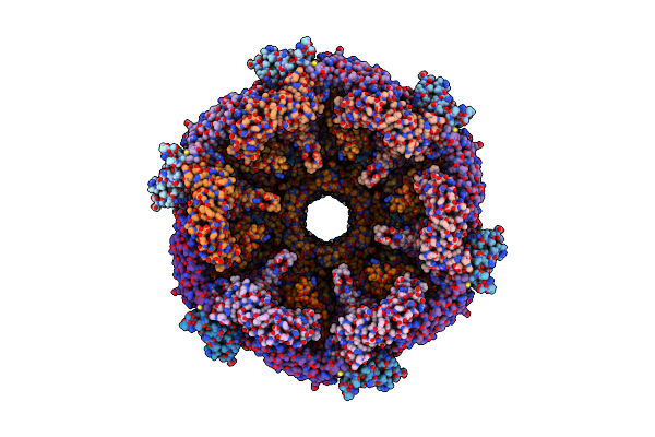 6U5B image