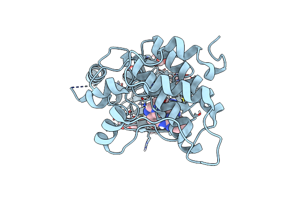 6U5L image