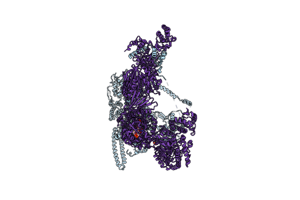 6U5U image
