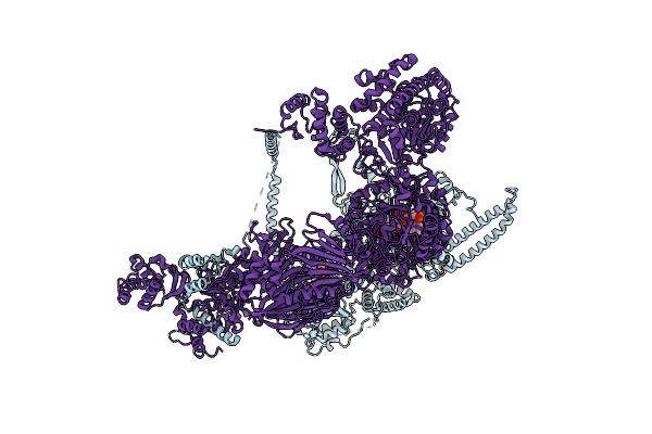 6U5W image
