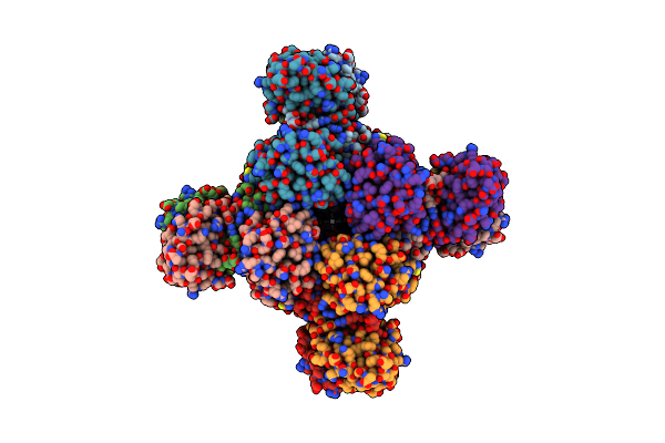 6U6D image