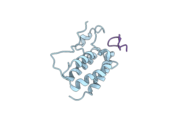 6U6K image