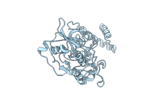 6U7D image