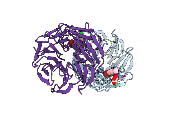 6U8B image