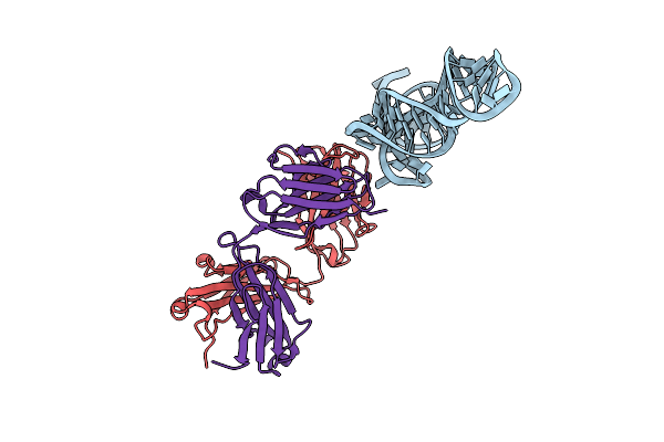 6U8D image