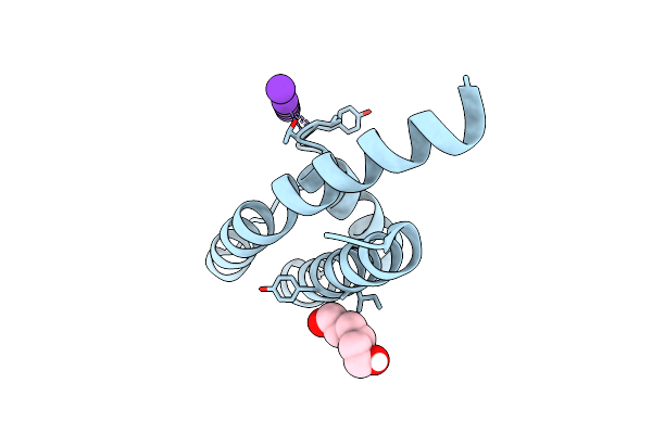 6U9P image
