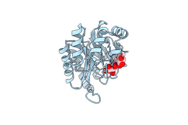 6UAR image
