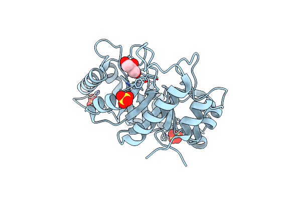 6UAV image