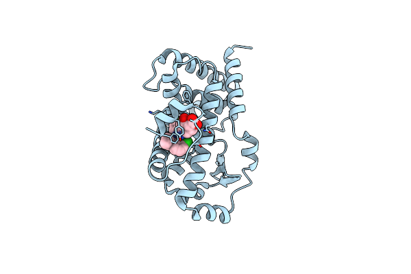 6UCG image