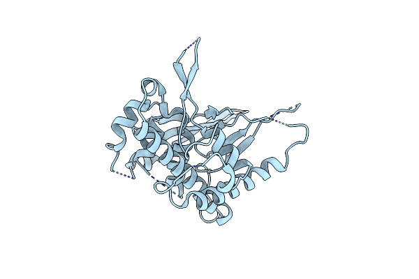 6UCT image