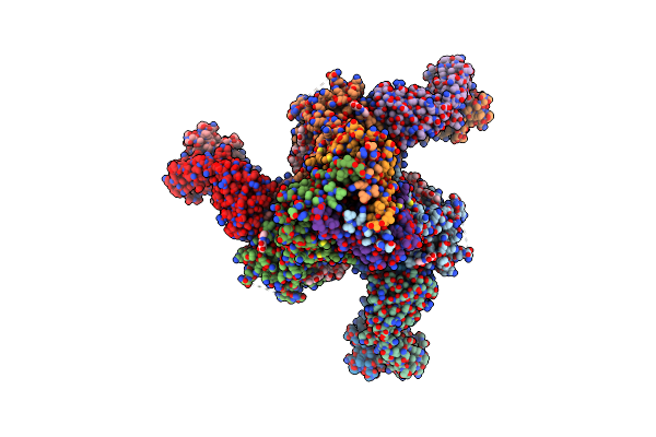 6UDA image