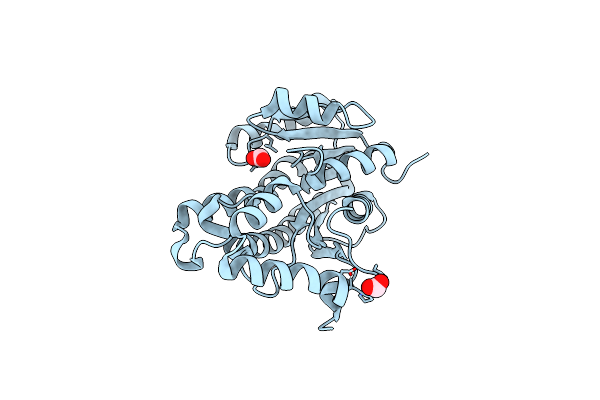 6UDF image