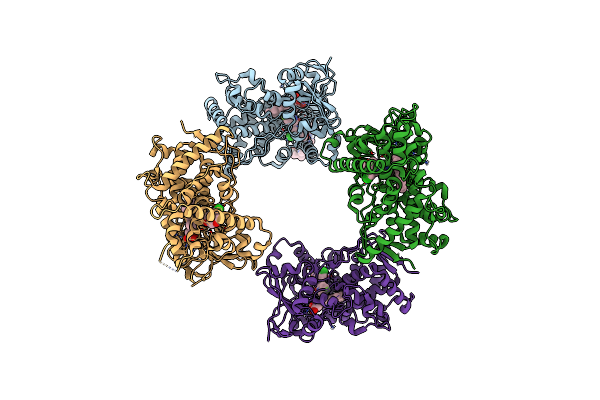 6UDM image