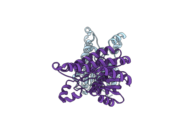 6UDS image