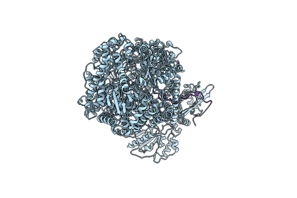 6UEB image