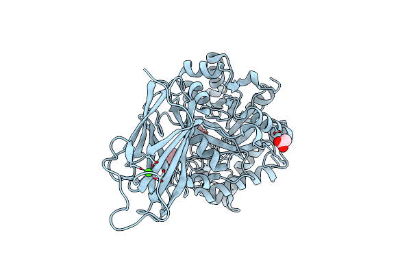 6UEH image