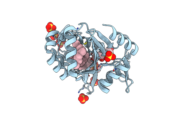 6UEX image
