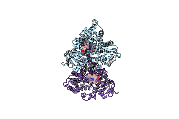 6UEZ image