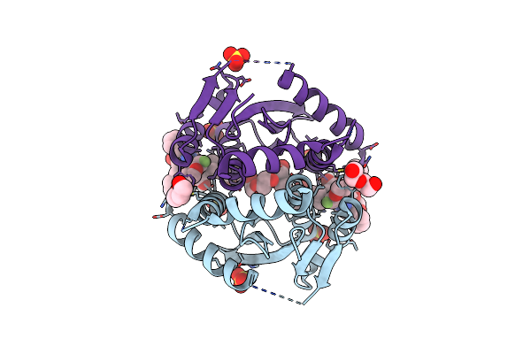 6UM8 image