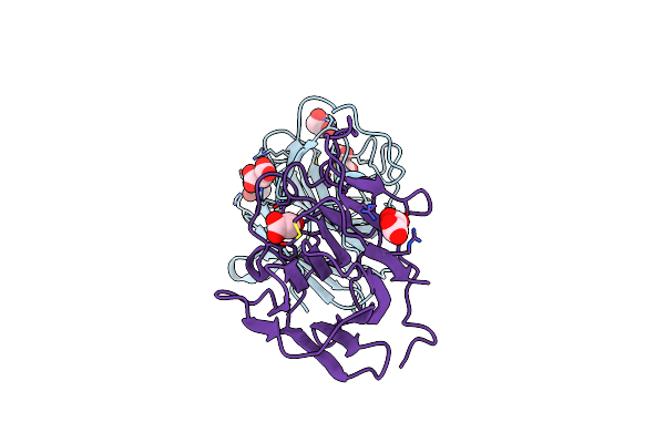 6UMA image