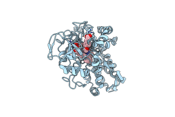 6UNN image