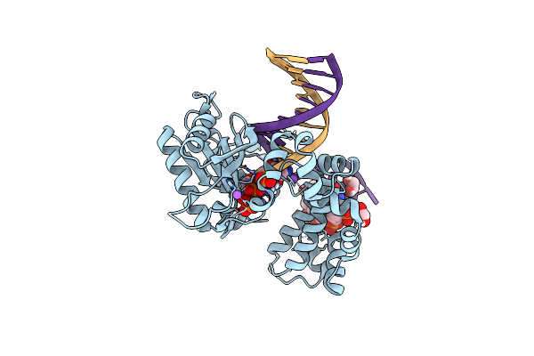 6UOM image