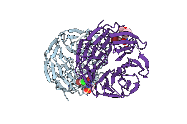 6UOZ image