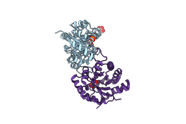 6UPF image