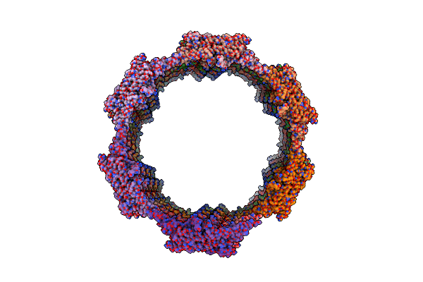 6UPN image