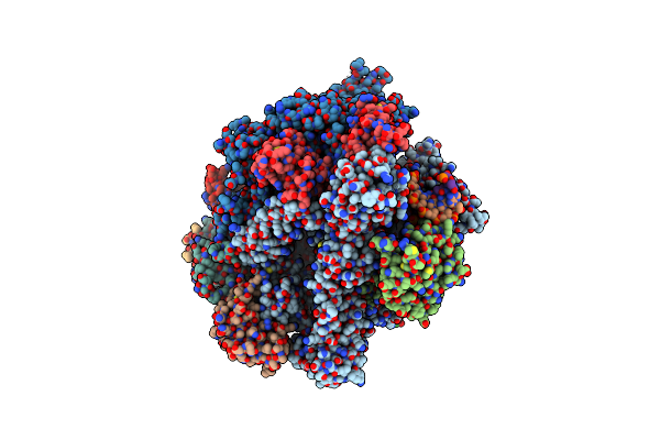 6UPX image