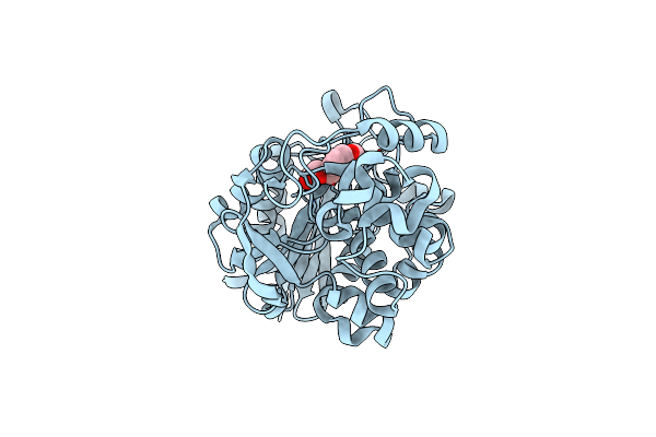 6UQT image