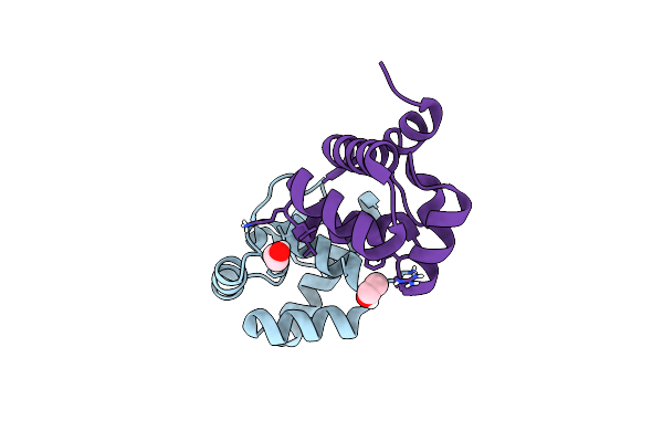 6URL image