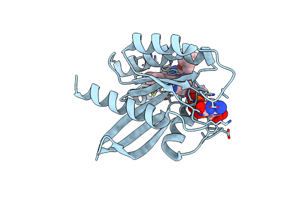 6USZ image