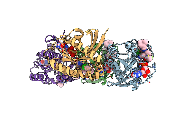 6UT0 image