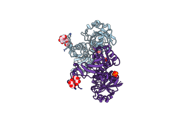 6UTN image