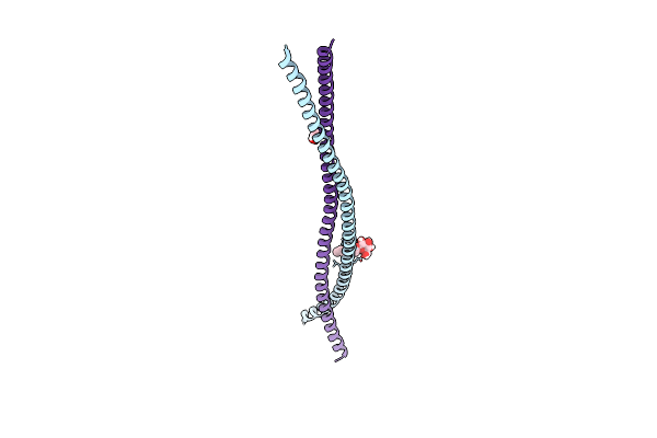 6UUI image