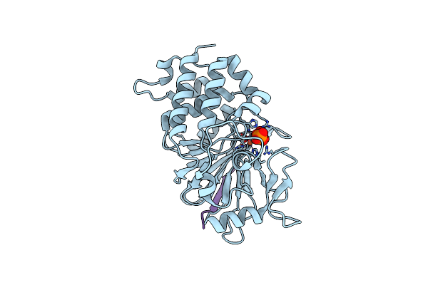 6UUQ image