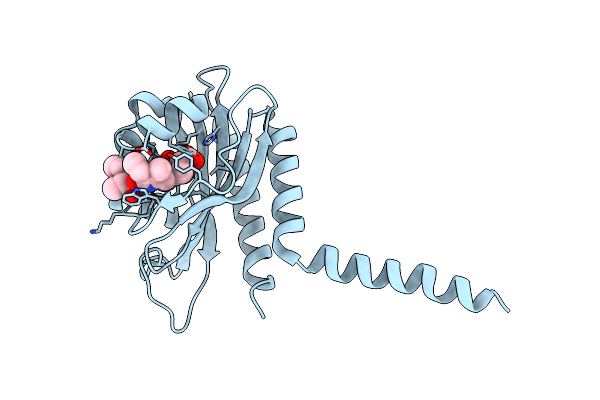 6UV8 image