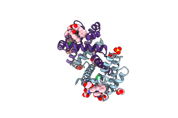 6UVC image