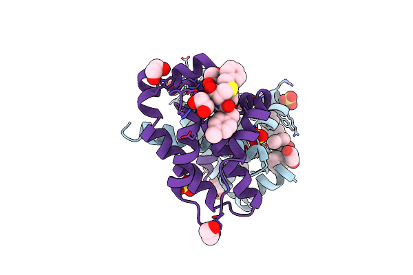 6UVD image